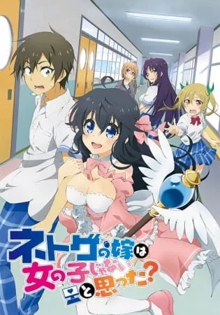 Netoge no Yome wa Onnanoko ja Nai to Omotta? - Anizm.TV